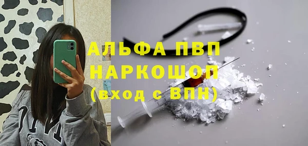 стаф Невель