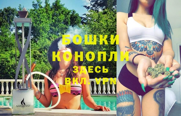 индика Володарск