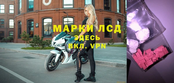 прущие грибы Зеленокумск