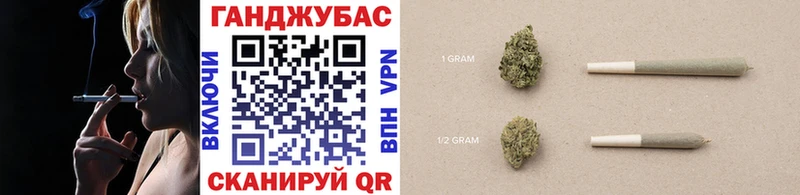 Бошки марихуана план  блэк спрут как войти  Канаш 